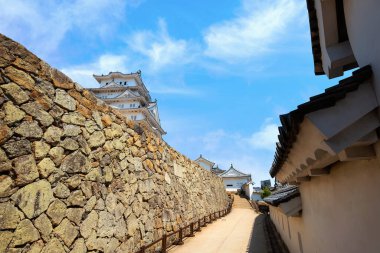 Japonya, Hyogo 'daki Himeji Kalesi' nde çiçek açan manzara.