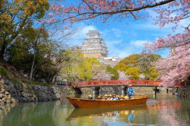 Japonya, Hyogo 'da kiraz çiçekleri açarken Himeji kalesi tekne turu.