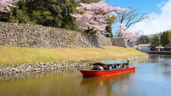  Yakatabune, Shiga, Japonya 'daki Hikone şatosu hendeği boyunca seyahat ediyor.