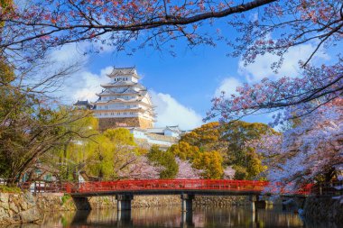 Japonya, Hyogo 'daki Himeji Kalesi' nde çiçek açan manzara.