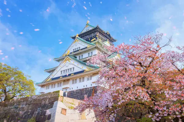 Osaka Castle Osaka Giappone Uno Dei Luoghi Hanami Più Popolari Foto Stock Royalty Free