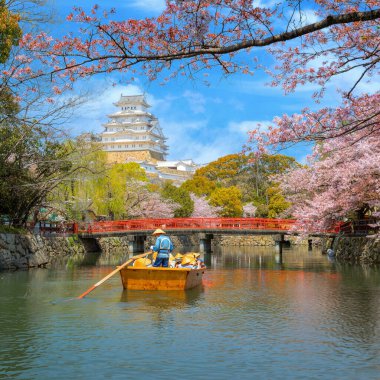 Japonya, Hyogo 'daki Himeji Kalesi' nde çiçek açan manzara.