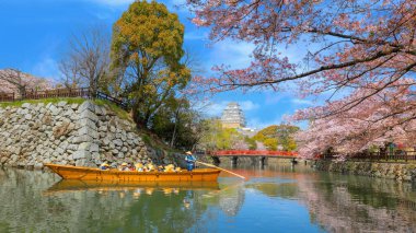 Japonya, Hyogo 'da kiraz çiçekleri açarken Himeji kalesi tekne turu.