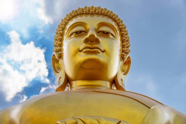 Büyük Oturan Buda Heykeli (Buddha Dhammakaya Dhepmongkol) Bangkok, Tayland 'daki Wat Paknam Phasi Charoen (tapınak)