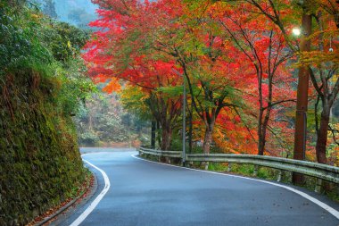 Kyoto, Japonya 'da Renkli Sonbahar Senaryosu ile Kibune (Kifune) Banliyö Yolu