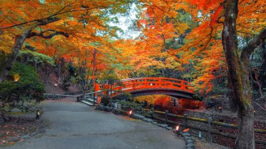 Kitano Tenmangu Tapınağı Kyoto, Japonya 'da canlı sonbahar yeşillikleri ile