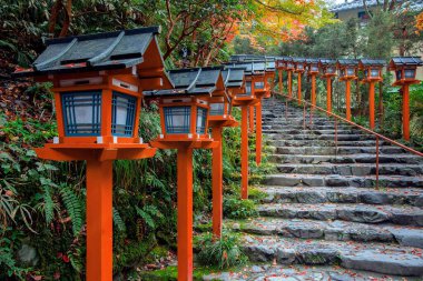 Nishi Hongan-ji Temple in Kyoto Japan with ginkgo tree in a beautiful autumn scenery.  clipart