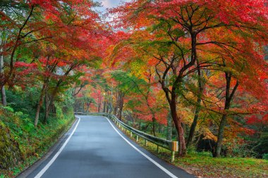 Kyoto, Japonya 'da Renkli Sonbahar Senaryosu ile Kibune (Kifune) Banliyö Yolu