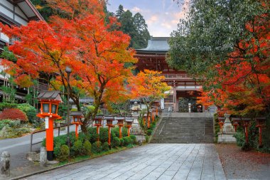 Japonya 'nın Kyoto şehrinde güzel bir sonbahar manzarası olan Kuramadera, Dağ boyunca yayılmış büyük bir tapınak kompleksidir. Kurama.