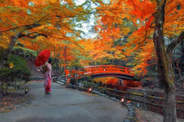 Japon Kadın Geleneksel Kimono Giysileri Kitano Tenmangu Tapınağı 'nda Kyoto, Japonya' da güzel bir sonbahar yeşilliği ile