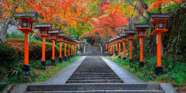 Japonya 'nın Kyoto şehrinde güzel bir sonbahar manzarası olan Kuramadera, Dağ boyunca yayılmış büyük bir tapınak kompleksidir. Kurama.