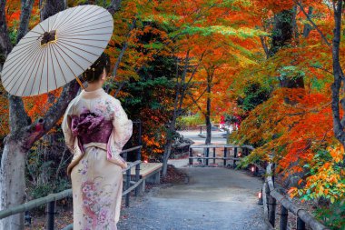 Japon Kadın Geleneksel Kimono Giysileri Kitano Tenmangu Tapınağı 'nda Kyoto, Japonya' da canlı sonbahar yeşillikleri ile
