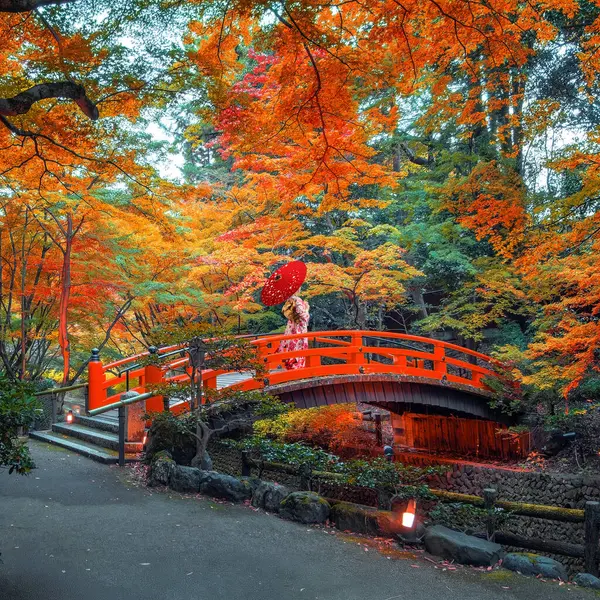 Japon Kadın Geleneksel Kimono Giysileri Kitano Tenmangu Tapınağı 'nda Kyoto, Japonya' da canlı sonbahar yeşillikleri ile