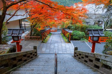 Japonya 'nın Kyoto şehrinde güzel bir sonbahar manzarası olan Kuramadera, Dağ boyunca yayılmış büyük bir tapınak kompleksidir. Kurama.