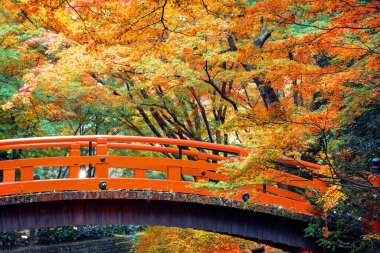 Kitano Tenmangu Tapınağı Kyoto, Japonya 'da canlı sonbahar yeşillikleri ile