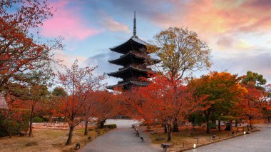  Kyoto, Japonya 'daki Toji Tapınağı. Güzel bir bahçesi ve sonbahar yaprakları var.