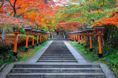 Japonya 'nın Kyoto şehrinde güzel bir sonbahar manzarası olan Kuramadera, Dağ boyunca yayılmış büyük bir tapınak kompleksidir. Kurama.