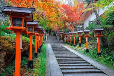 Japonya 'nın Kyoto şehrinde güzel bir sonbahar manzarası olan Kuramadera, Dağ boyunca yayılmış büyük bir tapınak kompleksidir. Kurama.