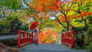 Kyoto 'nun kuzeyindeki Ohara kırsal kesiminde Geleneksel Kimono Giyinen Japon Kadın. Kyoto 'daki en iyi sonbahar renklerinden biridir. 