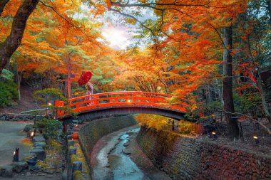 Japon Kadın Geleneksel Kimono Giysileri Kitano Tenmangu Tapınağı 'nda Kyoto, Japonya' da canlı sonbahar yeşillikleri ile