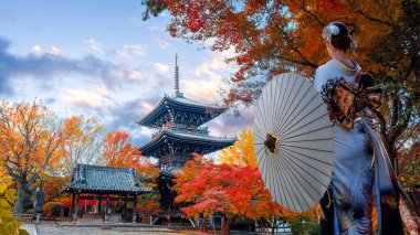 Geleneksel Kimonolu Japon Kadın Shinnyodo ya da Shinshogokurakuji tapınağında Kyoto, Japonya 'da güzel bir sonbahar senaryosu var.