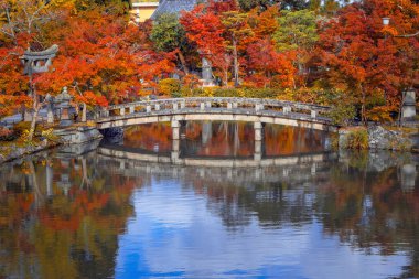 Japonya 'nın Kyoto şehrinde sonbaharda güzel yeşillikleri olan Eikando Zenrin-ji tapınağı.