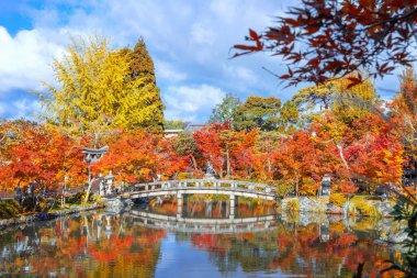 Japonya 'nın Kyoto şehrinde sonbaharda güzel yeşillikleri olan Eikando Zenrin-ji tapınağı.