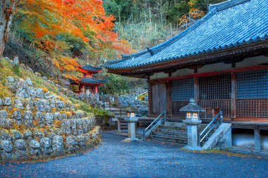 Japonya 'nın Kyoto kentinde sonbaharda güzel yeşillikleri olan Otagi Nenbutsu-ji tapınağının manzarası.