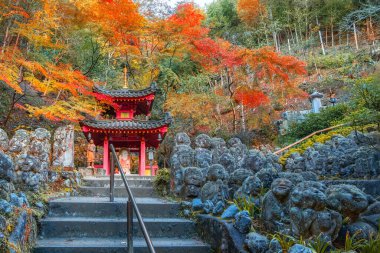 Japonya 'nın Kyoto kentinde sonbaharda güzel yeşillikleri olan Otagi Nenbutsu-ji tapınağının manzarası.