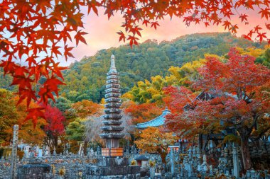 Japonya 'nın Kyoto kentinde sonbaharda güzel yeşillikleri olan Adashino Nenbutsuji tapınağının manzarası.