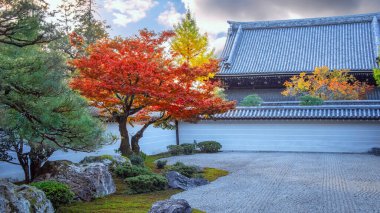 Nanzenji tapınağının manzarası ve sonbaharda Japonya 'nın Kyoto şehrinde güzel yeşillikleri olan Hojo bahçesi.