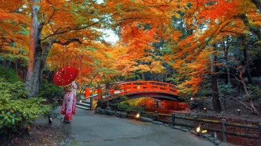 Japon Kadın Geleneksel Kimono Giysileri Kitano Tenmangu Tapınağı 'nda Kyoto, Japonya' da canlı sonbahar yeşillikleri ile