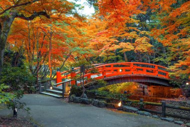Kitano Tenmangu Tapınağı manzarası. Kyoto, Japonya 'da canlı sonbahar yeşillikleri var.