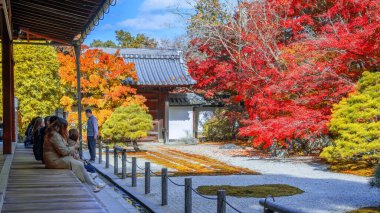 Japonya 'nın Kyoto kentinde sonbaharda güzel yeşillikleri olan Tenju-an tapınağının manzarası.