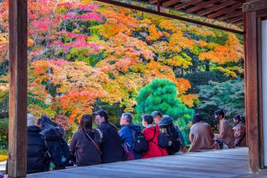 Japonya 'nın Kyoto kentinde sonbaharda güzel yeşillikleri olan Tenju-an tapınağının manzarası.