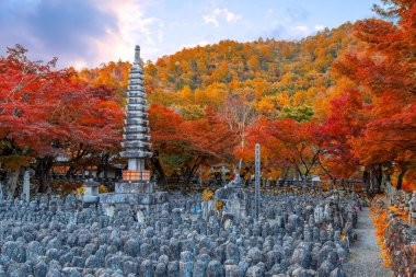 Japonya 'nın Kyoto kentinde sonbaharda güzel yeşillikleri olan Adashino Nenbutsuji tapınağının manzarası.