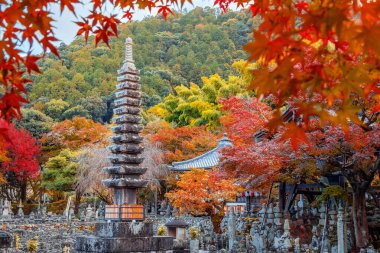 Japonya 'nın Kyoto kentinde sonbaharda güzel yeşillikleri olan Adashino Nenbutsuji tapınağının manzarası.