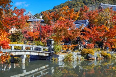 Japonya 'nın Kyoto kentinde sonbaharda güzel yeşillikleri olan Eikando Zenrin-ji tapınağının manzarası.