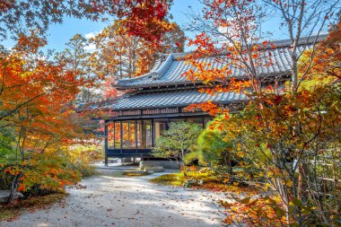 Japonya 'nın Kyoto kentinde sonbaharda güzel yeşillikleri olan Tenju-an tapınağının manzarası.