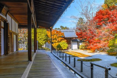 Japonya 'nın Kyoto kentinde sonbaharda güzel yeşillikleri olan Tenju-an tapınağının manzarası.