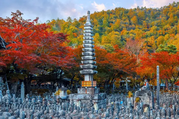Japonya 'nın Kyoto kentinde sonbaharda güzel yeşillikleri olan Adashino Nenbutsuji tapınağının manzarası.