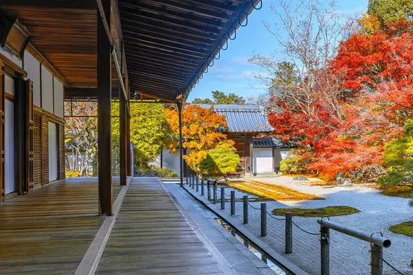 Japonya 'nın Kyoto kentinde sonbaharda güzel yeşillikleri olan Tenju-an tapınağının manzarası.
