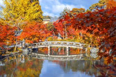Japonya 'nın Kyoto kentinde sonbaharda güzel yeşillikleri olan Eikando Zenrin-ji tapınağının manzarası.