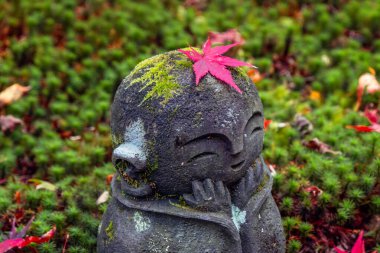 Japonya 'nın Kyoto kentinde sonbaharda güzel yeşillikleri olan Enko-ji tapınağının manzarası.