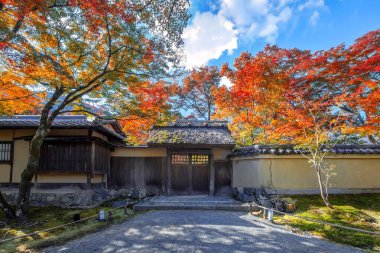 Japonya, Kyoto 'da sonbaharda güzel yeşilliklerle Hogon-in Tapınağı manzarası