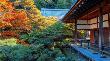 Japonya 'nın Kyoto kentinde sonbaharda güzel yeşillikleri olan Eikando Zenrin-ji tapınağının manzarası.