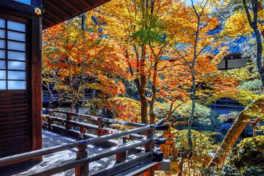 Japonya 'nın Kyoto kentinde sonbaharda güzel yeşillikleri olan Eikando Zenrin-ji tapınağının manzarası.
