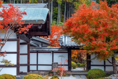 Japonya 'nın Kyoto kentinde sonbaharda güzel yeşillikleri olan Enko-ji tapınağının manzarası.