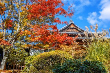 Japonya 'nın Kyoto kentinde sonbaharda güzel yeşillikleri olan Tenju-an tapınağının manzarası.