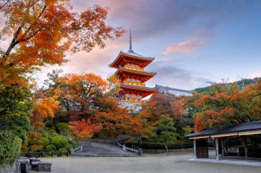 Kyoto, Japonya 'da sonbaharda güzel yeşillikleri olan Kiyomizu-dera tapınağının manzarası.